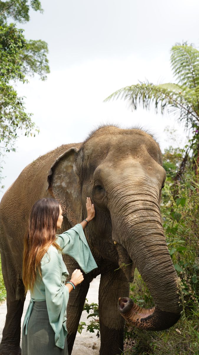 Tasta Zoo
