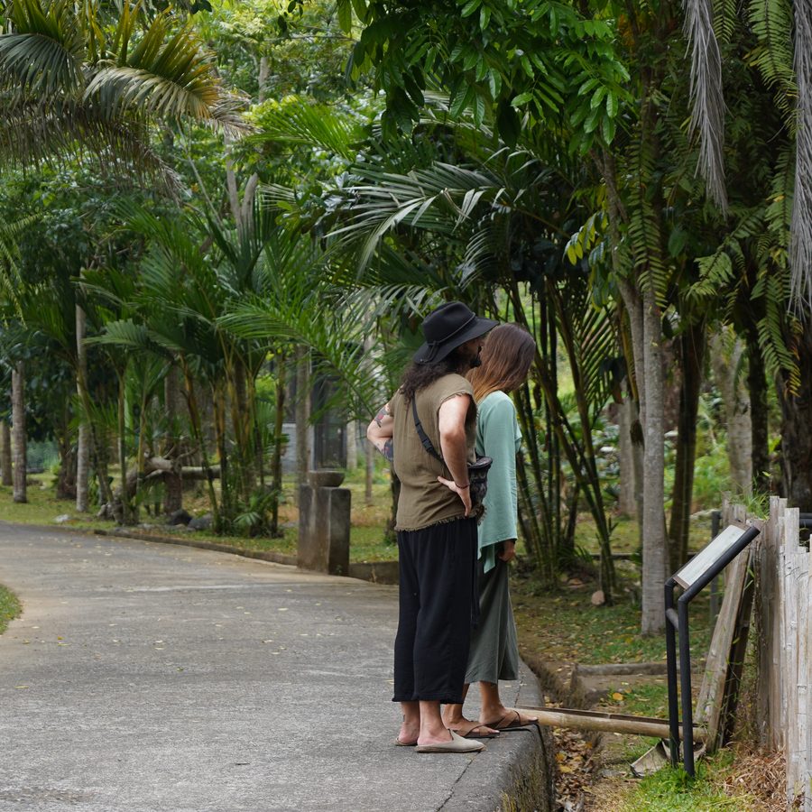 Walk at your own pace